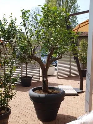 Giardino di La Cascina del Sole