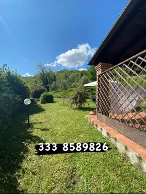 Giardino di la casa nel bosco