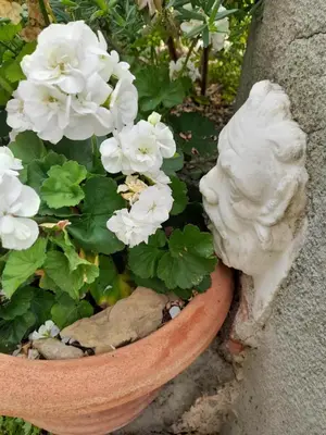 Giardino di Monti Guesthouse