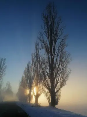 Paesaggio naturale nelle vicinanze dell'agriturismo