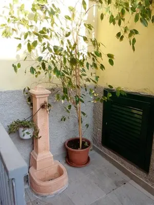 Planimetria di Da Cesare
