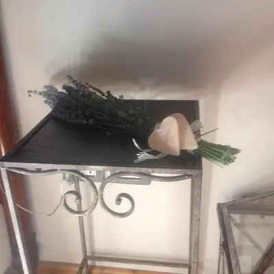 Planimetria di Corte Motte