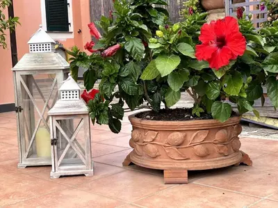 Giardino di Annali Casa vacanze - Shabby style nella natura
