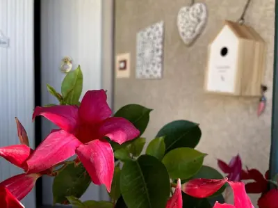 Planimetria di Annali Casa vacanze - Shabby style nella natura