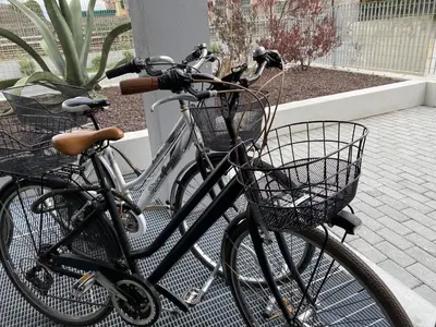 Attività di ciclismo presso l'appartamento o nelle vicinanze