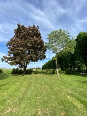 Paesaggio naturale nelle vicinanze dell'agriturismo