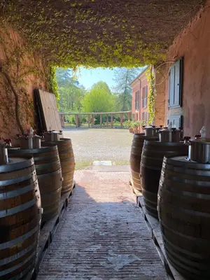 Planimetria di Tenuta Pizzone Wine Resort