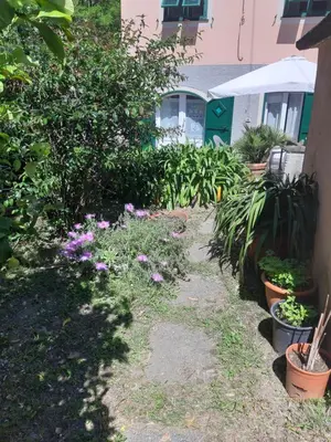 Giardino di Appartamento Il giardino