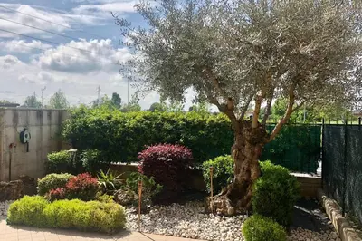 Giardino di La casa di Leo