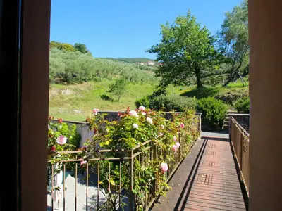 Paesaggio naturale nelle vicinanze dell'appartamento