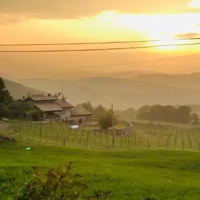 Fattoria Branciana