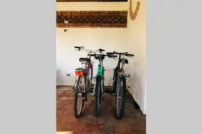 Attività di ciclismo presso la casa vacanze o nelle vicinanze