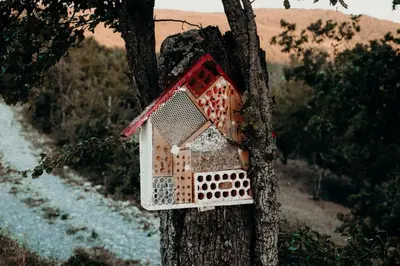 Paesaggio naturale nelle vicinanze dell'agriturismo