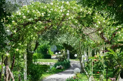 Giardino di Ca' Ross