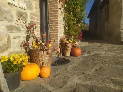 Planimetria di b&b La Corte dei Cerri- Il Piccolo Chalet