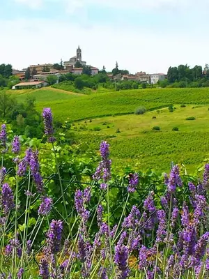 Paesaggio naturale nelle vicinanze del bed & breakfast