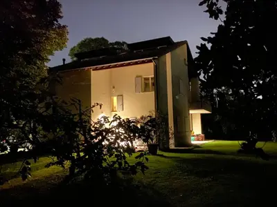 Giardino di Acero Giallo
