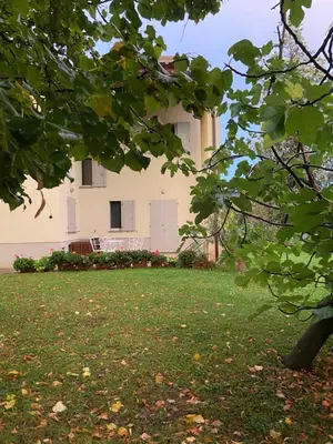 Giardino di Acero Giallo