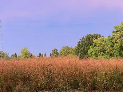 Paesaggio naturale nelle vicinanze del bed & breakfast