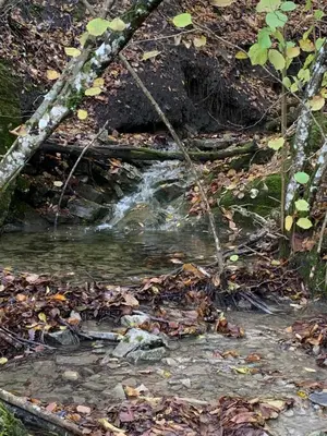 Paesaggio naturale nelle vicinanze dell'agriturismo