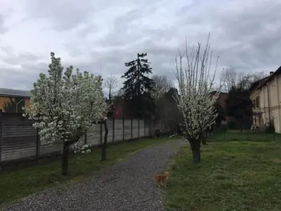 Giardino di Appartamento in Cascina Cortazza