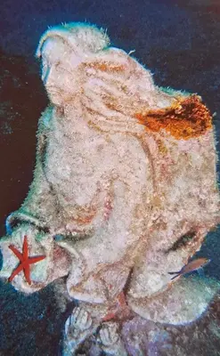 Altri animali domestici presso l'appartamento o nei dintorni