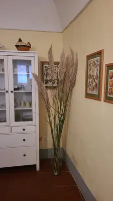 Planimetria di Luisa in Palazzo Bianchi