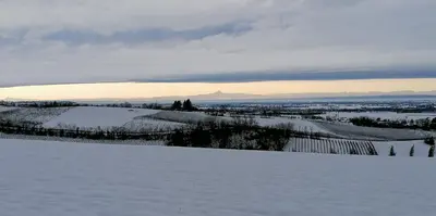 la Mafalda in Oltrepo durante l'inverno