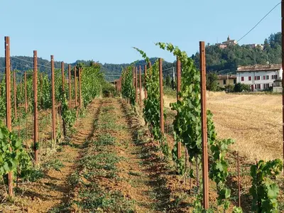 Paesaggio naturale nelle vicinanze del bed & breakfast