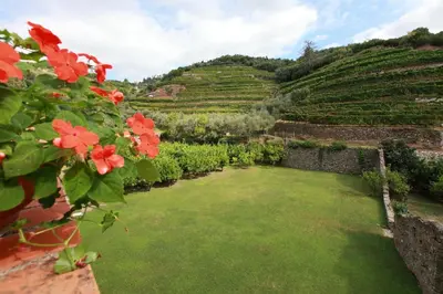 Giardino di Agriturismo Buranco