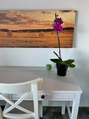 Planimetria di Agriturismo Albana