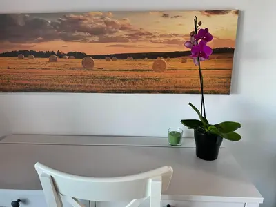 Planimetria di Agriturismo Albana