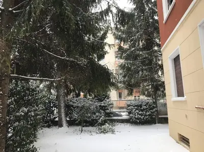 La Mimosa, Cittadella Downtown durante l'inverno