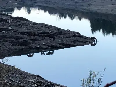 Paesaggio naturale nelle vicinanze della casa vacanze