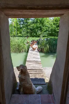 Paesaggio naturale nelle vicinanze dell'agriturismo