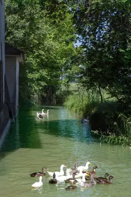 Vista sul fiume nelle vicinanze dell'agriturismo