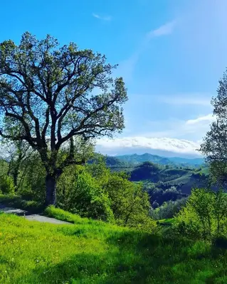 Paesaggio naturale nelle vicinanze del bed & breakfast