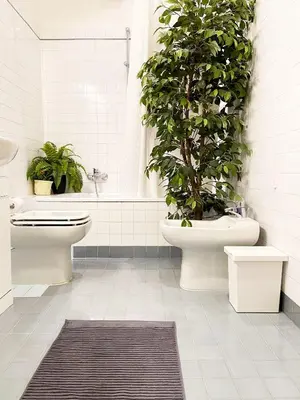 Bagno di Wild Apartment