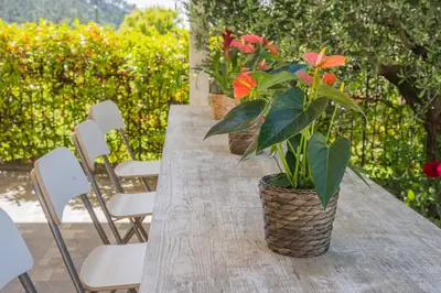 Giardino di AGAVE - Villa Luisa, Pace e Relax a 2 passi dal mare
