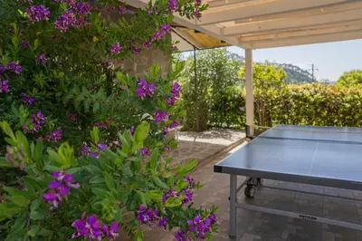 Attrezzature per ping pong presso ALOE - Villa Luisa: Pace e Relax a 2 passi dal mare o nelle vicinanze
