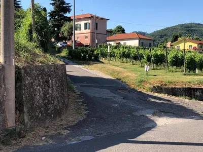 Paesaggio naturale nelle vicinanze dell'appartamento