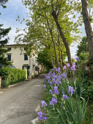 Giardino di Christy House