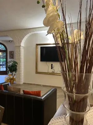 TV o dispositivi per l'intrattenimento presso Le Boccede Country House B&B