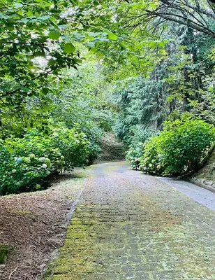 Paesaggio naturale nelle vicinanze dell'appartamento