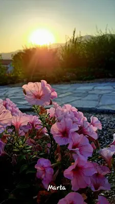 Alba o tramonto visti dall'interno del bed & breakfast o dai dintorni