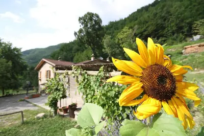 Paesaggio naturale nelle vicinanze dell'agriturismo