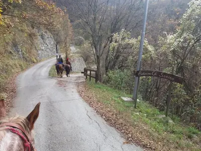 Attività di equitazione presso l'agriturismo o nelle vicinanze