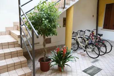 Attività di ciclismo presso l'hotel o nelle vicinanze