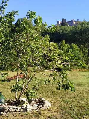 Giardino di Il Giardino di Marzo Guest House