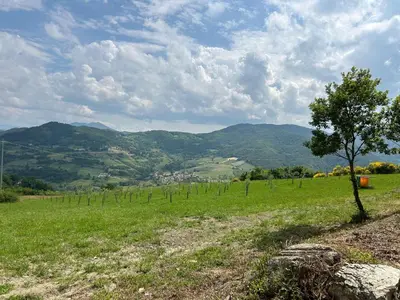 Paesaggio naturale nelle vicinanze dell'agriturismo